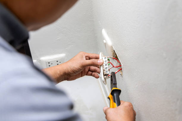 Best Electric Panel Repair  in Pocomoke City, MD